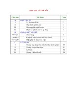 skkn MỘT SỐ KINH NGHIỆM CHỈ ĐẠO CÔNG TÁC GIẢI TOÁN QUA MẠNG INTERNET –VIOLIMPIC CẤP TIỂU HỌC