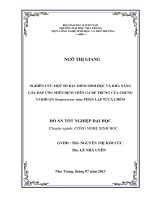 Nghiên cứu một số đặc điểm sinh học và khả năng gây đáp ứng miễn dịch trên gà đẻ trứng của chủng vi khuẩn Streptococcus iniae phân lập từ cá chẽm