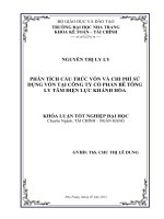 Phân tích cấu trúc vốn và chi phí sử dụng vốn tại Công ty cổ phần Bê tông ly tâm điện lực Khánh Hòa