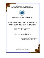 Hoàn thiện hoạt động tổ chức tiền lương tại tập đoàn cao su Việt Nam