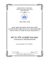 Hoàn thiện hệ thống kênh phân phối tại thị trường miền Trung của chi nhánh miền trung công ty TNHH TM dược phẩm Đông Á