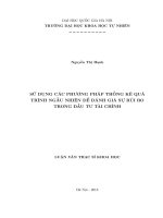 Sử dụng các phương pháp thống kê quá trình ngẫu nhiên để đánh giá sự rủi ro trong đầu tư tài chính