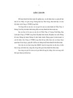 Xây dựng chiến lược kinh doanh cho mặt hàng phân bón lá sinh học của công ty ty TNHH Long Sinh