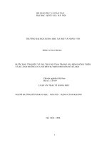 bước đầu tìm hiểu về giá trị con trai trong gia đình nông thôn và sự ảnh hưởng của nó đến sự biến đổi dân số xã hội