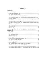 Nghiên cứu sản xuất thử nghiệm nước giải khát linh chi - la hán quả đóng chai