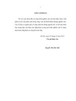 CHÍNH SÁCH TẠO ĐỘNG LỰC CHO NGUỒN NHÂN LỰC NGHÀNH BẢO HIỂM XÃ HỘI TỈNH NINH BÌNH