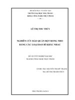 Nghiên cứu bảo quản bột rong nho bằng các loại bao bì khác nhau