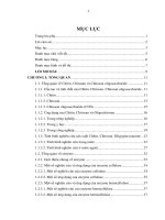 Thử nghiệm sử dụng enzyme Polysacchrase thủy phân chitosan trong sản xuất Oligochitosan