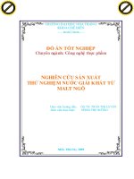 Nghiên cứu sản xuất nước giải khát từ Malt ngô