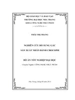 Nghiên cứu bổ sung Gấc sản xuất nhân bánh Chocopie