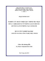 Nghiên cứu hoàn thiện quy trình thu nhận iota-carrageenan từ rong gai Eucheuma denticulatum trồng tại Cam Ranh