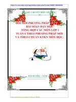 ĐỔI MỚI PHƯƠNG PHÁP DẠY HỌC  BÀI SOẠN DẠY HỌC    TỔNG HỢP CÁC MÔN LỚP 1  TUẦN 6 THEO PHƯƠNG PHÁP MỚI   VÀ THEO CHUẨN KTKN MÔN HỌC