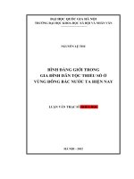 Bình đẳng giới trong gia đình dân tộc thiểu số ở vùng Đông Bắc nước ta hiện nay