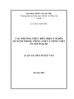 Các phương thức biểu hiện ý nghĩa so sánh trong tiếng Anh và tiếng Việt ( so sánh thang độ