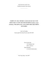 Nghiên cứu thay thế bột cá bằng bã dầu đậu nành trong thức ăn viên cho tôm Hùm Bông Panulirus Ornatus (Fabricius, 1798) giống (4.94 - 2.18 G) trong điều kiện phòng thí nghiệm