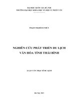 Nghiên cứu phát triển du lịch văn hóa tỉnh Thái Bình