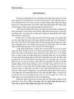 Rủi ro tín dụng của các Ngân hàng thương mại ở Việt Nam và một số biện pháp khắc phục rủi ro tín dụng