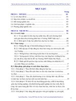 Một số kinh nghiệm và giải pháp dạy học phân ban và dạy học tự chọn của trường THPT Buôn ma Thuột