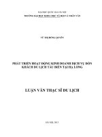 Phát triển hoạt động kinh doanh dịch vụ đón khách du lịch tàu biển tại Hạ Long