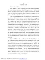 Một số biện pháp nhằm phát triển thị trường tiêu thụ sản phẩm tại Công ty trách nhiệm hữu hạn Long Shin