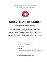 QUY ĐỊNH VÀ THỰC TIỄN ÁP DỤNG BIỆN PHÁP CHỐNG BÁN PHÁ GIÁ CỦA BRAZIL VÀ BÀI HỌC ĐỐI VỚI VIỆT NAM