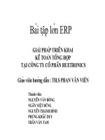 GIẢI PHÁP TRIỂN KHAI KẾ TOÁN TỔNG HỢP TẠI CÔNG TY CỔ PHẦN HUETRONICS