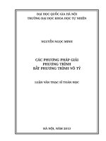 Các phương pháp giải phương trình bất phương trình vô tỷ