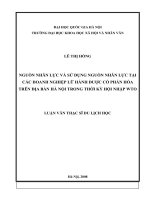 Nguồn nhân lực và sử dụng nguồn nhân lực tại các doanh nghiệp lữ hành được cổ phần hóa trên địa bàn Hà Nội trong thời kỳ hội nhập WTO