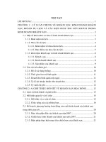 Thực trạng và các biện pháp thu hút khách tại Khách sạn Hoa Hồng - Hải Dương