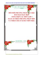 ĐỔI MỚI PHƯƠNG PHÁP DẠY HỌC  BÀI SOẠN DẠY HỌC    TỔNG HỢP CÁC MÔN LỚP 1  TUẦN 18 THEO PHƯƠNG PHÁP MỚI   VÀ THEO CHUẨN KTKN MÔN HỌC.