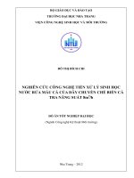 Nghiên cứu công nghệ tiền xử lý sinh học nước rửa máu cá của dây chuyền chế biến cá tra năng suất 8m3 1h