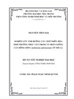 Nghiên cứu ảnh hưởng các chất điều hòa sinh trưởng thực vật trong vi nhân giống cây hồng môn (Anthurium andraeanum) từ mô lá