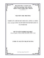 Nghiên cứu chế độ thủy phân đầu, xương cá chẽm (Lates calcarifer) bằng sự kết hợp enzyme Protamex và Flavourzyme