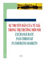 SỰ TRUYỀN DẪN CỦA TỶ GIÁ TRONG THỊ TRƯỜNG MỚI NỔI