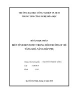 BIẾN TÍNH BENTONIT TRONG môi TRƯỜNG h+ để TĂNG KHẢ NĂNG hấp PHỤ