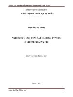 Nghiên cứu ứng dụng sắt nano xử lý nước ô nhiễm crôm và chì