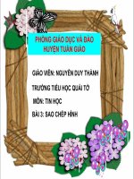 slide thuyết trình  Tin học 4 Sao chép hình