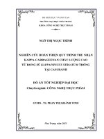 Nghiên cứu hoàn thiện quy trình thu nhận Kappa-carrageenan chất lượng cao từ rong sú Kappaphycus striatum trồng tại Cam Ranh