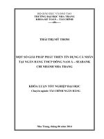 Một số giải pháp phát triển tín dụng cá nhân tại ngân hàng TMCP Đông Nam Á - Seabank chi nhánh Nha Trang