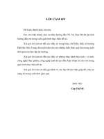 Nghiên cứu đề xuất quy trình công nghệ sản xuất thử nghiệm mứt từ cùi bưởi và lõi dứa