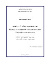 Nghiên cứu sử dụng Viscozyme trong sản xuất nước uống từ rong nho (Caulerpa Lentillifera)