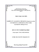 Nghiên cứu tạo kháng thể kháng Streptococcus iniae gây bệnh ở cá chẽm bằng công nghệ tạo kháng thể IgY ở gà