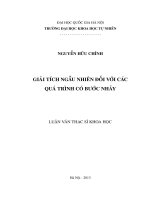 Giải tích ngẫu nhiên đối với các quá trình có bước nhảy