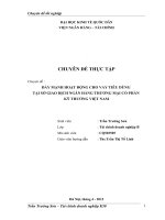 ĐẨY MẠNH HOẠT ĐỘNG CHO VAY TIÊU DÙNG tại sở GIAO DỊCH NGÂN HÀNG THƯƠNG mại cổ PHẦN kỹ THƯƠNG VIỆT NAM