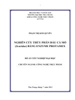 Nghiên cứu thủy phân đầu cá mó (Scaridae) bằng enzyme Protamex