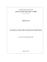 Đặc điểm cấu trúc, kiến tạo đông bắc bể sông Hồng