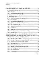 Nhận diện và đánh giá tác động của các nhân tố ảnh hưởng đến tiêu thụ bột giặt ARIEL của công ty PG