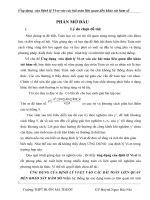 Ứng dụng của Định lý Vi-et vào các bài toán liên quan đến khảo sát hàm số_SKKN toán THPT
