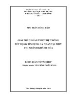 Giải pháp hoàn thiện hệ thống xếp hạng tín dụng cá nhân tại BIDV chi nhánh Khánh Hòa
