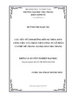 Các yếu tố ảnh hưởng đến sự thỏa mãn công việc của nhân viên công ty cổ phần cà phê Mê Trang tại địa bàn Nha Trang